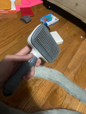 A9b55171d1afd49e5b82a4e949a81c6129.jpg