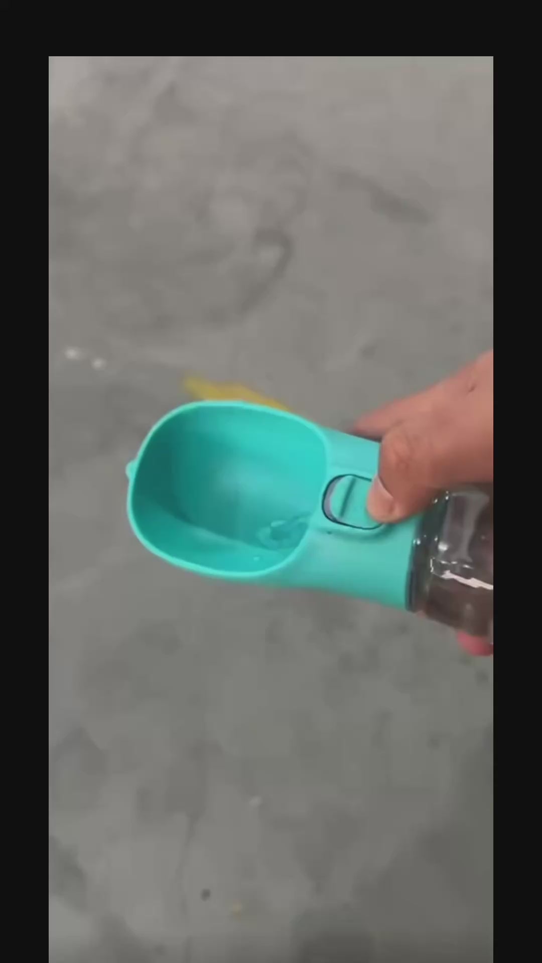Keep Your Dog Hydrated Anywhere. 💧