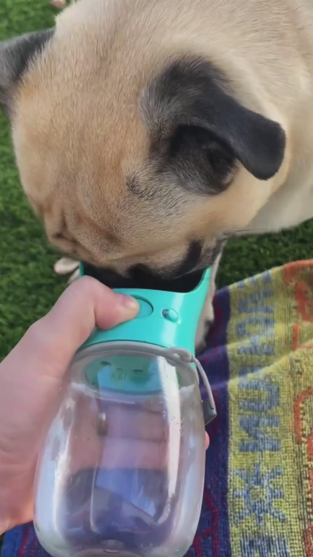 Keep Your Dog Hydrated Anywhere. 💧